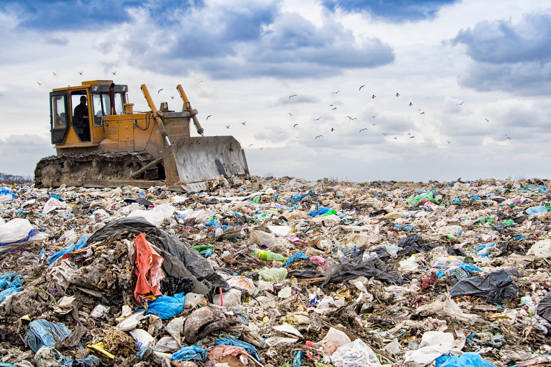 wasteful consumption impacts our environment